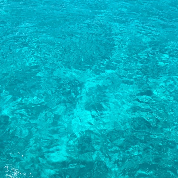 Meet your Posher, Giselle - Picture 1 of 1